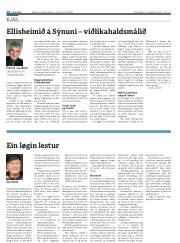 Síða 14