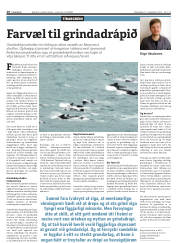 Síða 16