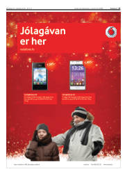 Síða 17