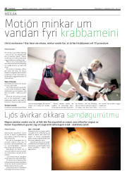 Síða 18