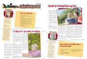 Síða 11