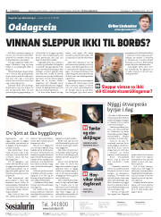 Síða 2
