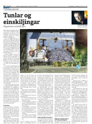 Síða 10