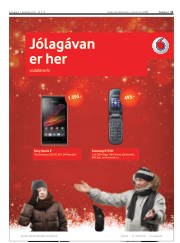 Síða 11