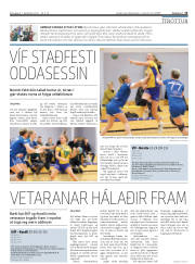 Síða 15