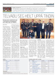 Síða 19
