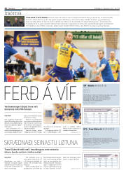 Síða 20