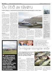 Síða 22