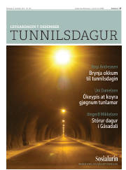 Síða 17
