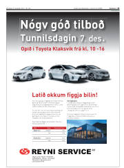 Síða 21