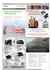 Síða 33