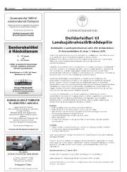 Síða 38