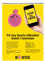 Síða 3
