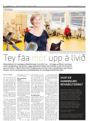 Síða 6