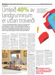 Síða 10