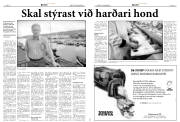 Síða 7