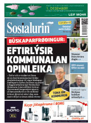 Síða 1