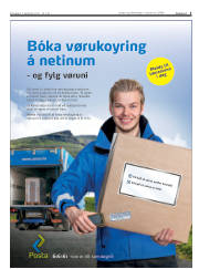 Síða 3