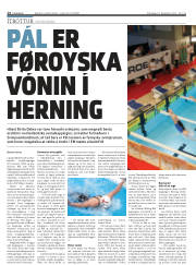 Síða 14