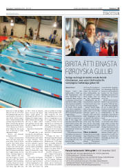 Síða 15