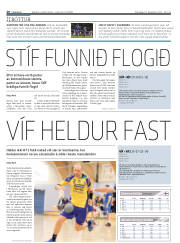 Síða 20