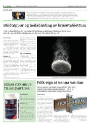 Síða 8
