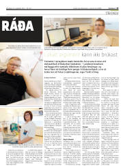 Síða 15