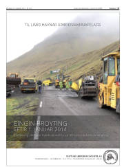 Síða 17