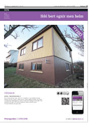 Síða 19