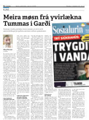 Síða 32