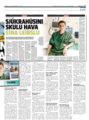 Síða 33