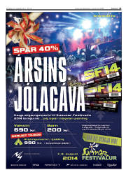 Síða 41