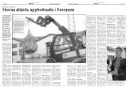 Síða 15