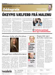 Síða 2