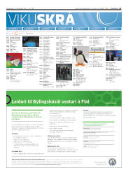 Síða 31