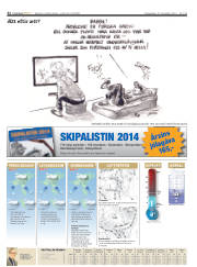 Síða 32