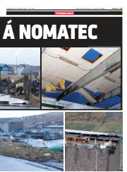 Síða 11