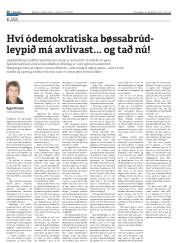 Síða 20