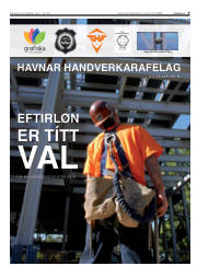 Síða 9