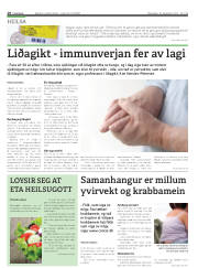 Síða 18