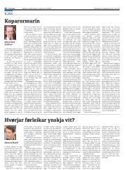 Síða 22