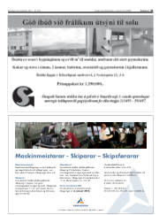 Síða 41