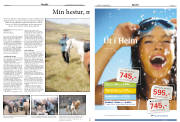 Síða 12