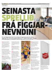 Síða 8