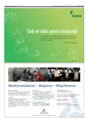 Síða 19