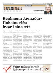 Síða 21