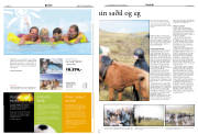 Síða 14