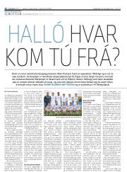 Síða 22