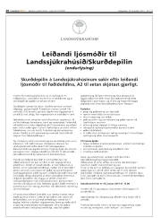 Síða 28