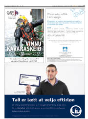 Síða 31